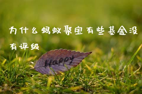 为什么蚂蚁聚宝有些基金没有评级_https://m.fansifence.com_消费金融_第1张