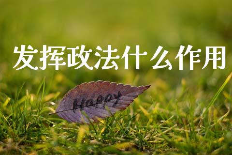 发挥政法什么作用_https://m.fansifence.com_公募基金_第1张