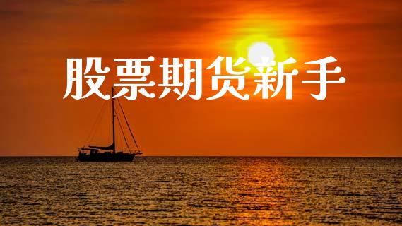 股票期货新手_https://m.fansifence.com_个股行情_第1张