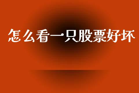 怎么看一只股票好坏_https://m.fansifence.com_个股行情_第1张