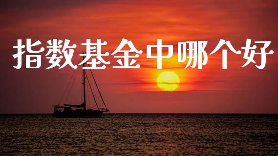 指数基金中哪个好_https://m.fansifence.com_公募基金_第1张