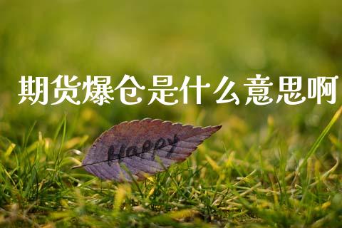 期货爆仓是什么意思啊_https://m.fansifence.com_公募基金_第1张