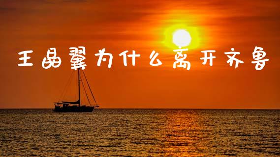 王晶翼为什么离开齐鲁_https://m.fansifence.com_贵金属行情_第1张