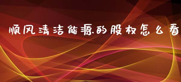 顺风清洁能源的股权怎么看_https://m.fansifence.com_公募基金_第1张