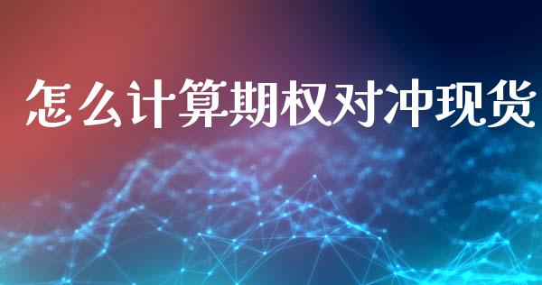 怎么计算期权对冲现货_https://m.fansifence.com_公募基金_第1张