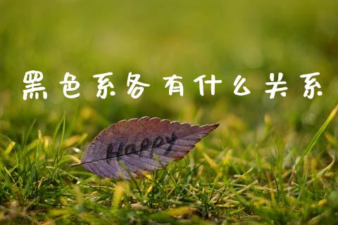 黑色系各有什么关系_https://m.fansifence.com_公募基金_第1张