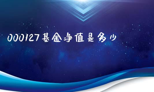 000127基金净值是多少_https://m.fansifence.com_消费金融_第1张