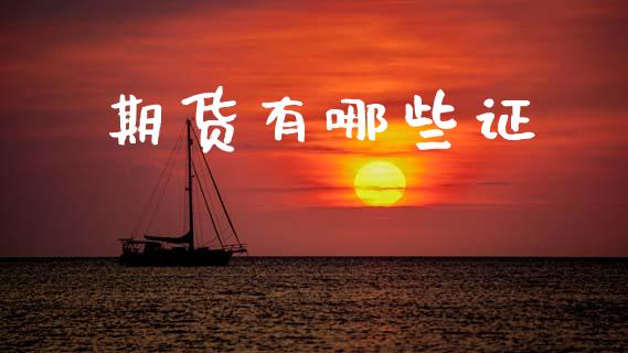 期货有哪些证_https://m.fansifence.com_消费金融_第1张