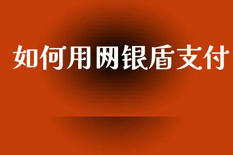 如何用网银盾支付_https://m.fansifence.com_公募基金_第1张