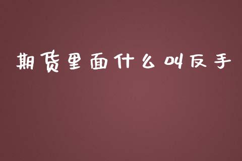 期货里面什么叫反手_https://m.fansifence.com_消费金融_第1张