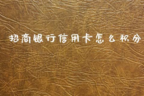 招商银行信用卡怎么积分_https://m.fansifence.com_公募基金_第1张