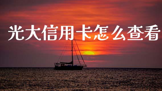 光大信用卡怎么查看_https://m.fansifence.com_消费金融_第1张