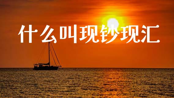 什么叫现钞现汇_https://m.fansifence.com_公募基金_第1张