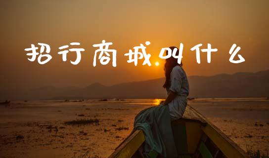 招行商城叫什么_https://m.fansifence.com_公募基金_第1张