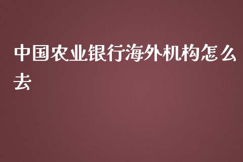 中国农业银行海外机构怎么去_https://m.fansifence.com_贵金属行情_第1张