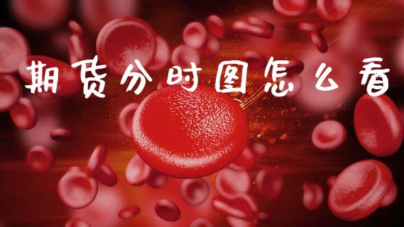 期货分时图怎么看_https://m.fansifence.com_消费金融_第1张