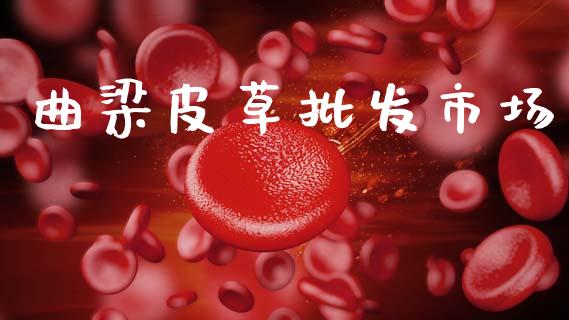 曲梁皮草批发市场_https://m.fansifence.com_消费金融_第1张