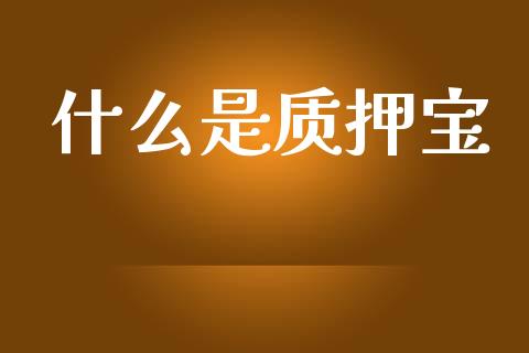 什么是质押宝_https://m.fansifence.com_消费金融_第1张