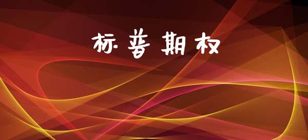 标普期权_https://m.fansifence.com_公募基金_第1张
