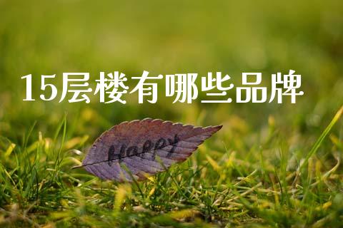 15层楼有哪些品牌_https://m.fansifence.com_消费金融_第1张