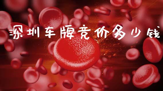 深圳车牌竞价多少钱_https://m.fansifence.com_个股行情_第1张