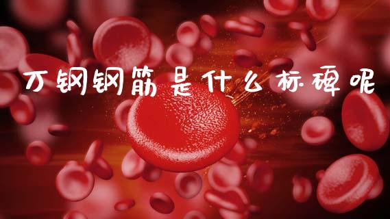 万钢钢筋是什么标碑呢_https://m.fansifence.com_个股行情_第1张