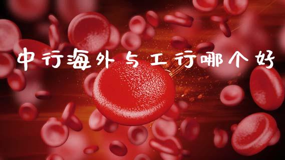 中行海外与工行哪个好_https://m.fansifence.com_公募基金_第1张