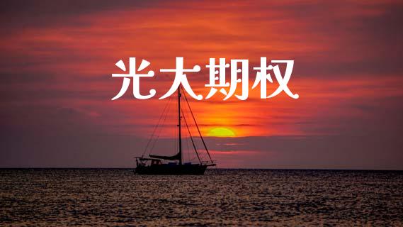光大期权_https://m.fansifence.com_公募基金_第1张