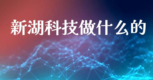 新湖科技做什么的_https://m.fansifence.com_消费金融_第1张