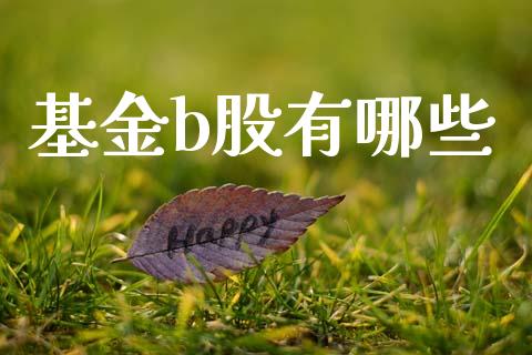 基金b股有哪些_https://m.fansifence.com_公募基金_第1张