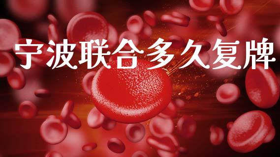 宁波联合多久复牌_https://m.fansifence.com_公募基金_第1张