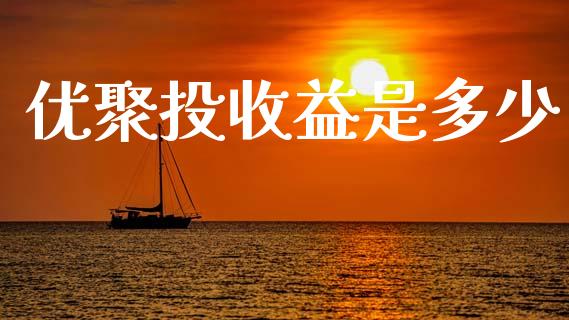 优聚投收益是多少_https://m.fansifence.com_消费金融_第1张