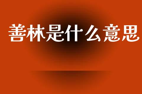 善林是什么意思_https://m.fansifence.com_公募基金_第1张