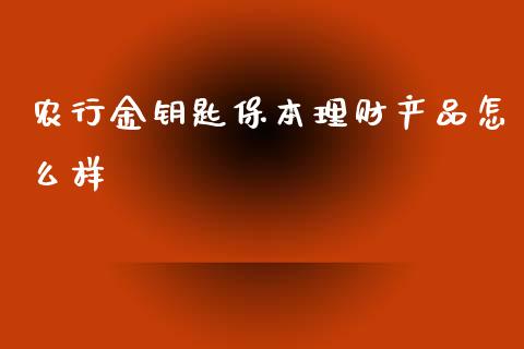 农行金钥匙保本理财产品怎么样_https://m.fansifence.com_公募基金_第1张