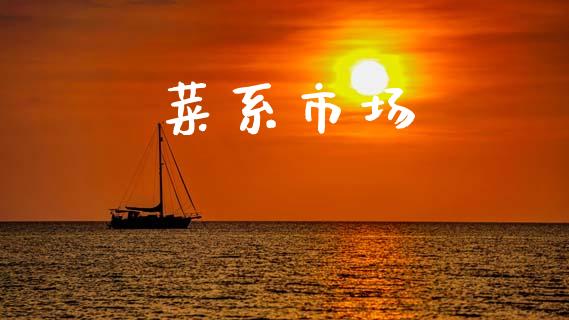菜系市场_https://m.fansifence.com_公募基金_第1张