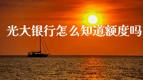 光大银行怎么知道额度吗_https://m.fansifence.com_个股行情_第1张