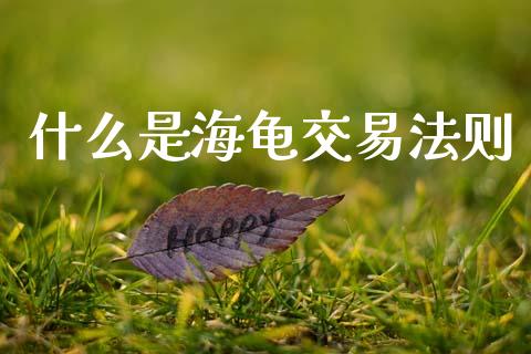 什么是海龟交易法则_https://m.fansifence.com_个股行情_第1张