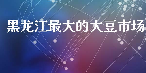 黑龙江最大的大豆市场_https://m.fansifence.com_个股行情_第1张