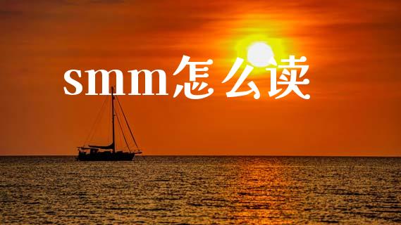 smm怎么读_https://m.fansifence.com_消费金融_第1张