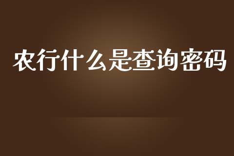 农行什么是查询密码_https://m.fansifence.com_消费金融_第1张