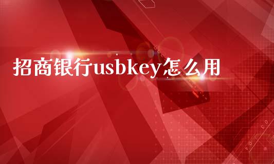 招商银行usbkey怎么用_https://m.fansifence.com_贵金属行情_第1张