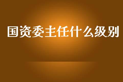 国资委主任什么级别_https://m.fansifence.com_贵金属行情_第1张