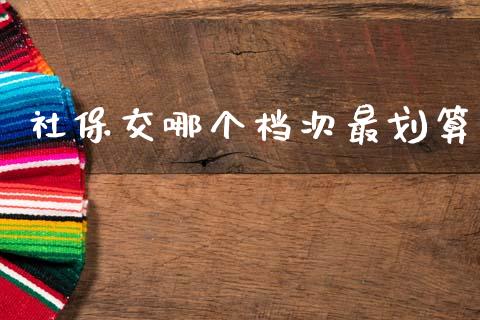 社保交哪个档次最划算_https://m.fansifence.com_公募基金_第1张
