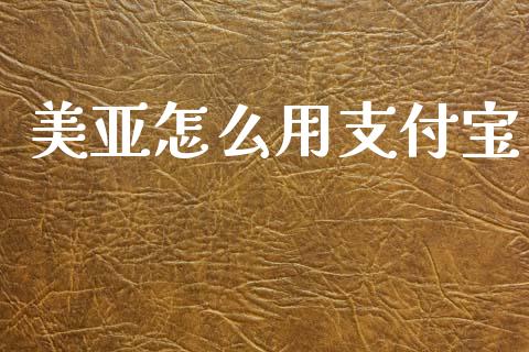 美亚怎么用支付宝_https://m.fansifence.com_消费金融_第1张