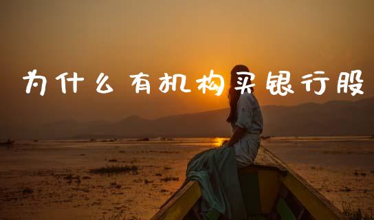 为什么有机构买银行股_https://m.fansifence.com_公募基金_第1张