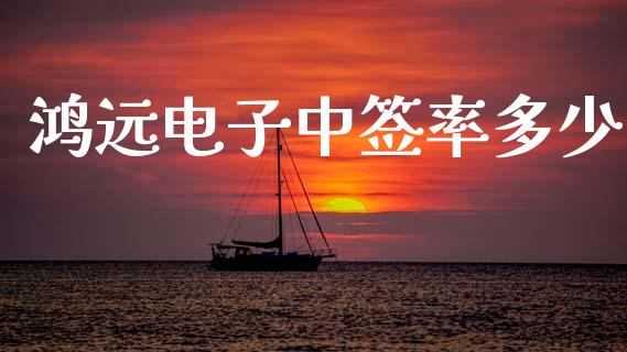 鸿远电子中签率多少_https://m.fansifence.com_公募基金_第1张