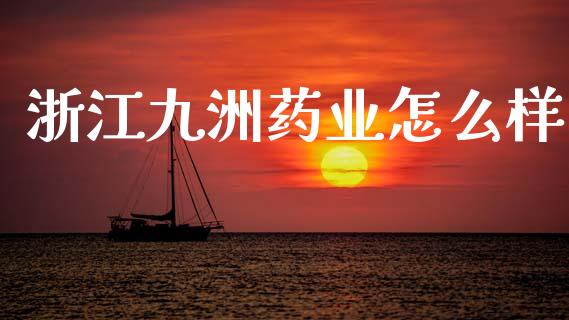 浙江九洲药业怎么样_https://m.fansifence.com_公募基金_第1张