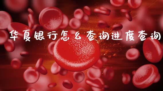 华夏银行怎么查询进度查询_https://m.fansifence.com_消费金融_第1张