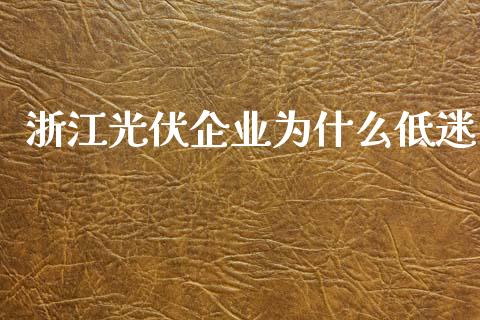 浙江光伏企业为什么低迷_https://m.fansifence.com_消费金融_第1张
