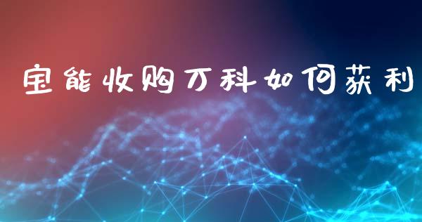 宝能收购万科如何获利_https://m.fansifence.com_消费金融_第1张
